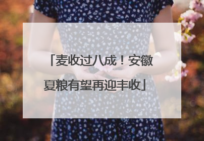 麦收过八成！安徽夏粮有望再迎丰收