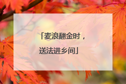 麦浪翻金时，送法进乡间