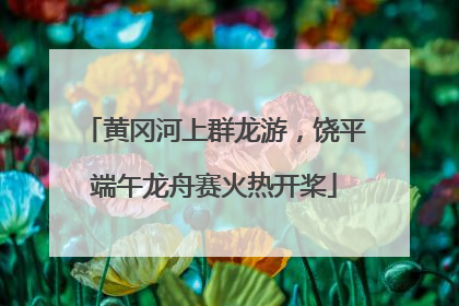 黄冈河上群龙游，饶平端午龙舟赛火热开桨