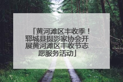 黄河滩区丰收季！郓城县摄影家协会开展黄河滩区丰收节志愿服务活动