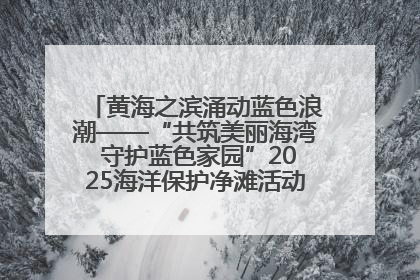 黄海之滨涌动蓝色浪潮——“共筑美丽海湾 守护蓝色家园”2025海洋保护净滩活动暨“美丽江苏—江河湖海青蓝行”海洋篇在连云港举行