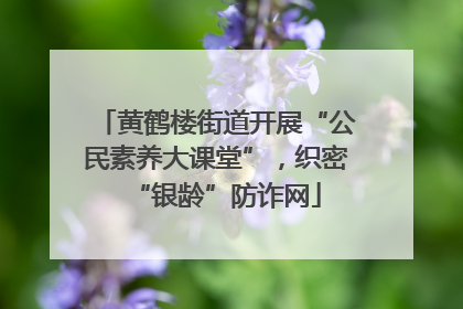 黄鹤楼街道开展“公民素养大课堂”，织密“银龄”防诈网