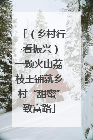 （乡村行·看振兴）一颗火山荔枝王铺就乡村“甜蜜”致富路