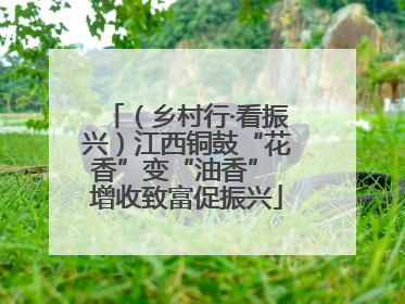 （乡村行·看振兴）江西铜鼓“花香”变“油香” 增收致富促振兴