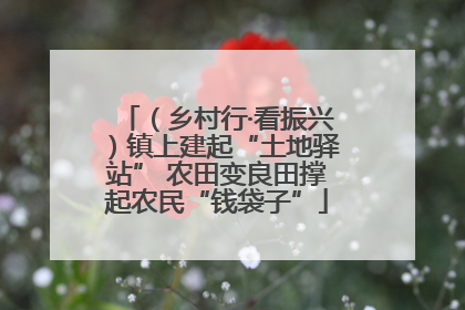 （乡村行·看振兴）镇上建起“土地驿站” 农田变良田撑起农民“钱袋子”