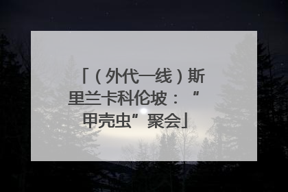 （外代一线）斯里兰卡科伦坡：“甲壳虫”聚会