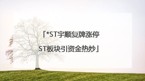 *ST宇顺复牌涨停 ST板块引资金热炒