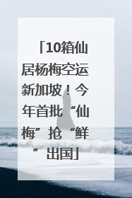 10箱仙居杨梅空运新加坡！今年首批“仙梅”抢“鲜”出国