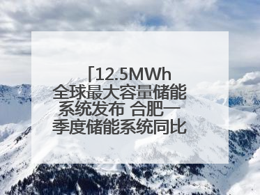 12.5MWh全球最大容量储能系统发布 合肥一季度储能系统同比增长425%