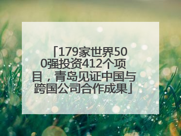 179家世界500强投资412个项目，青岛见证中国与跨国公司合作成果