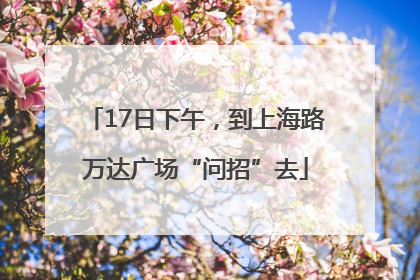 17日下午，到上海路万达广场“问招”去