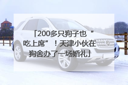 200多只狗子也“吃上席”！天津小伙在狗舍办了一场婚礼