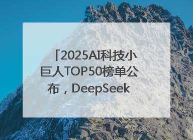 2025AI科技小巨人TOP50榜单公布，DeepSeek、宇树科技、蘑菇车联等企业荣誉上榜