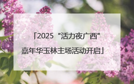2025“活力夜广西”嘉年华玉林主场活动开启