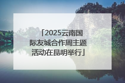 2025云南国际友城合作周主题活动在昆明举行