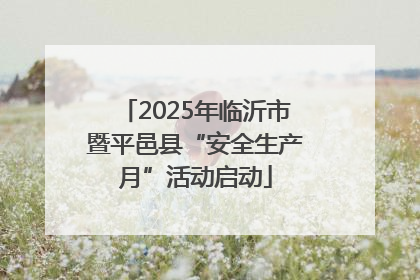 2025年临沂市暨平邑县“安全生产月”活动启动