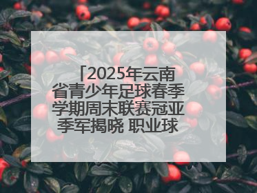 2025年云南省青少年足球春季学期周末联赛冠亚季军揭晓 职业球星与足球小将共享荣耀时刻