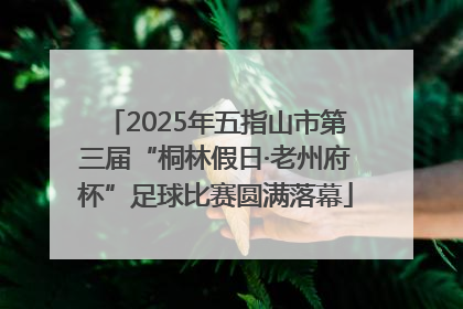 2025年五指山市第三届“桐林假日·老州府杯”足球比赛圆满落幕