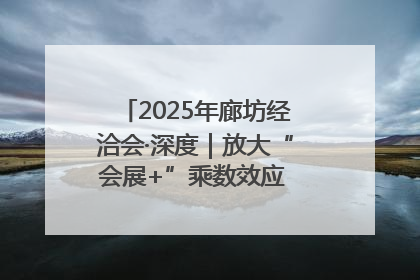 2025年廊坊经洽会·深度｜放大“会展+”乘数效应 打造消费新场景