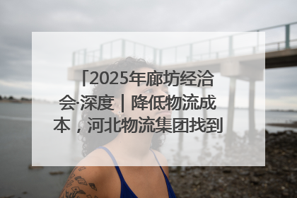 2025年廊坊经洽会·深度｜降低物流成本，河北物流集团找到一把“金钥匙”