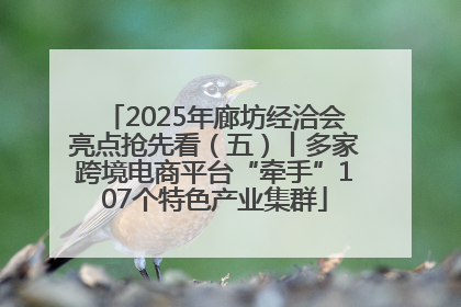 2025年廊坊经洽会亮点抢先看（五）丨多家跨境电商平台“牵手”107个特色产业集群