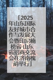 2025年山东国际友好城市合作与发展大会暨印尼楠榜省·山东省招商交流会在济南槐荫举行