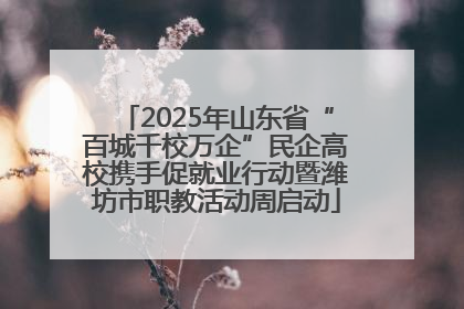 2025年山东省“百城千校万企”民企高校携手促就业行动暨潍坊市职教活动周启动