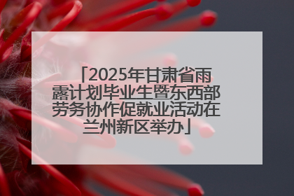 2025年甘肃省雨露计划毕业生暨东西部劳务协作促就业活动在兰州新区举办