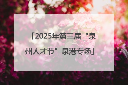 2025年第三届“泉州人才节”泉港专场
