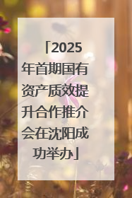 2025年首期国有资产质效提升合作推介会在沈阳成功举办