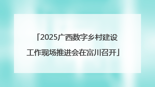 2025广西数字乡村建设工作现场推进会在富川召开
