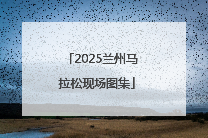 2025兰州马拉松现场图集