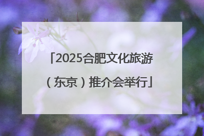 2025合肥文化旅游（东京）推介会举行