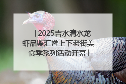2025吉水清水龙虾品鉴汇暨上下老街美食季系列活动开幕