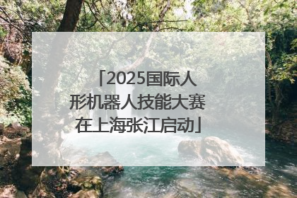 2025国际人形机器人技能大赛在上海张江启动