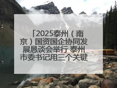 2025泰州（南京）国资国企协同发展恳谈会举行 泰州市委书记用三个关键词推介泰州