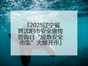2025辽宁省暨沈阳市安全宣传咨询日“应急安全市集”火爆开市