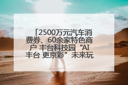 2500万元汽车消费券、60余家特色商户 丰台科技园“AI丰台 更京彩”未来玩家市集活动正式开幕