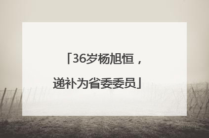 36岁杨旭恒，递补为省委委员
