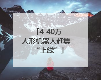 4-40万 人形机器人赶集“上线”