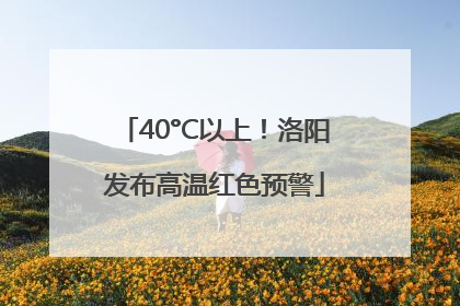 40°C以上！洛阳发布高温红色预警