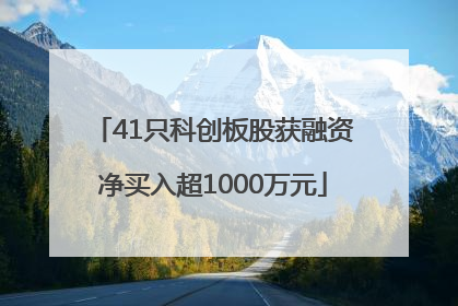 41只科创板股获融资净买入超1000万元