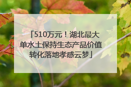 510万元！湖北最大单水土保持生态产品价值转化落地孝感云梦