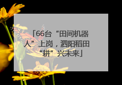 66台“田间机器人”上岗，泗阳稻田“耕”兴未来
