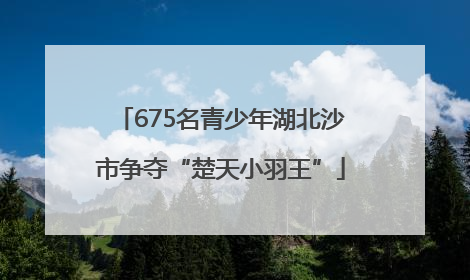 675名青少年湖北沙市争夺“楚天小羽王”
