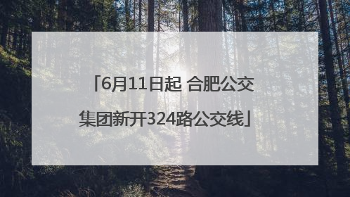 6月11日起 合肥公交集团新开324路公交线