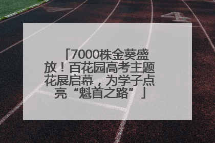 7000株金葵盛放！百花园高考主题花展启幕，为学子点亮“魁首之路”