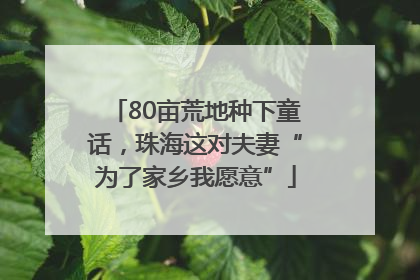 80亩荒地种下童话，珠海这对夫妻“为了家乡我愿意”