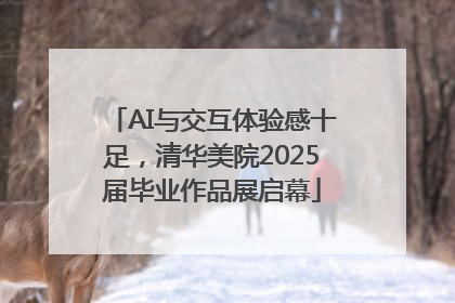 AI与交互体验感十足，清华美院2025届毕业作品展启幕