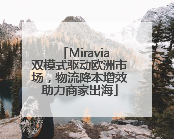 Miravia双模式驱动欧洲市场，物流降本增效助力商家出海
